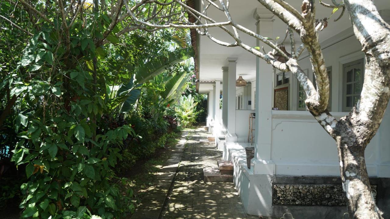 Endless Summer Surf Camp Kuta クタ エクステリア 写真