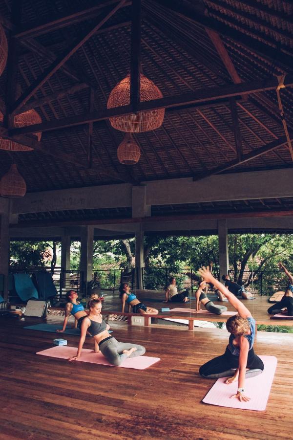 Endless Summer Surf Camp Kuta クタ エクステリア 写真